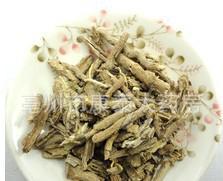 地骨皮 清熱解乏的優質中藥材飲片，支持大量批發與加工