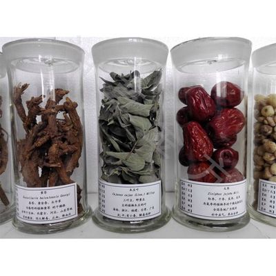 神草金方 手工制作中藥材標本中的匠心與文化傳承