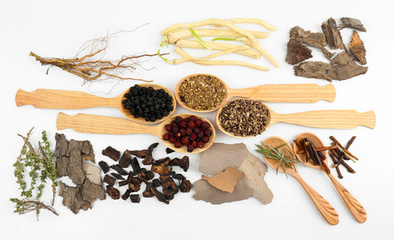 中國傳統中草藥成分特寫與中藥成藥探析