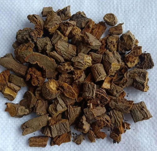 中草藥引領水產健康養殖 成都百草匯的核心理念與實踐