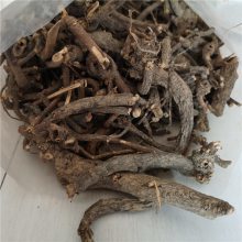 黃芽大戟 功效、價(jià)格與成藥應(yīng)用