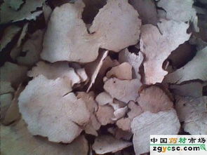 海翔中藥 專注放射性藥品供應(yīng)，助力精準(zhǔn)醫(yī)療發(fā)展